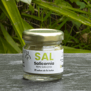 Sal de Salicornia